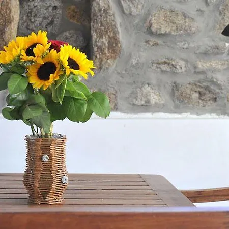 Alexandros Mykonos Apartmanhotel