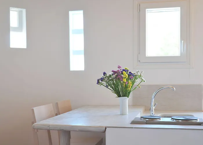 アレクサンドロス ミコノス