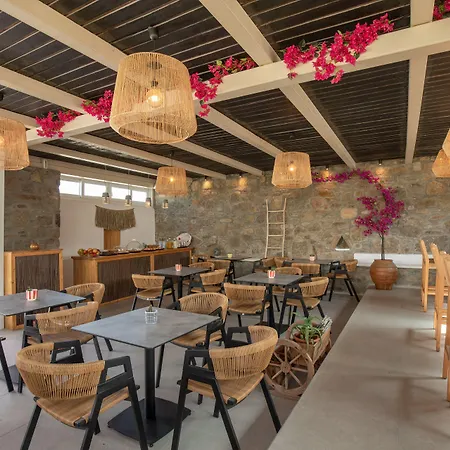 Alexandros Mykonos Apart-hotel 4*