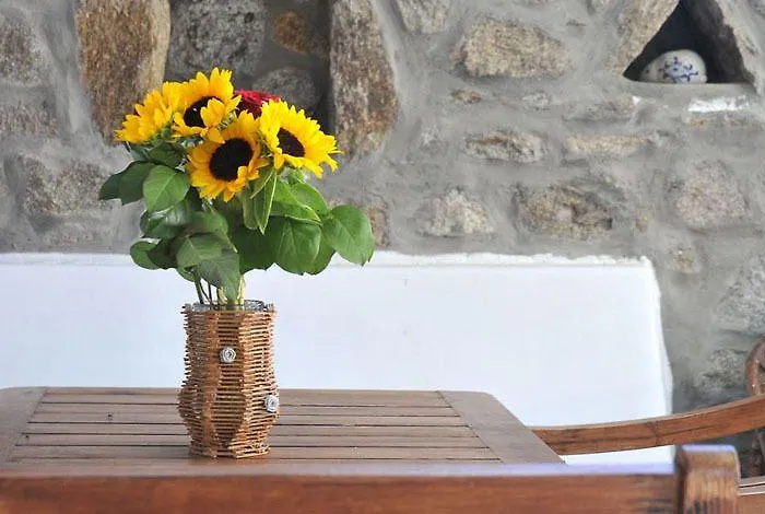 Alexandros Mykonos Aparthotel