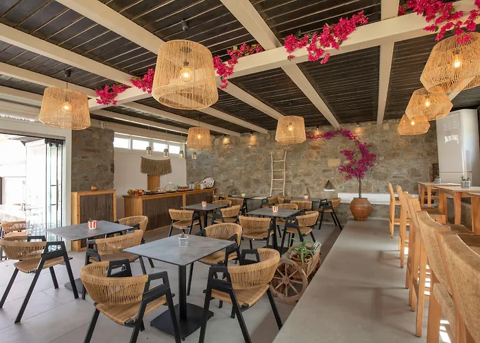 Alexandros Mykonos Aparthotel 4*